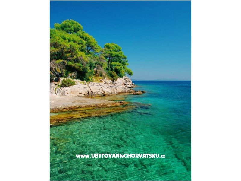 Appartements Mira – Ferienwohnung Bibinje, Kroatien – Foto 17