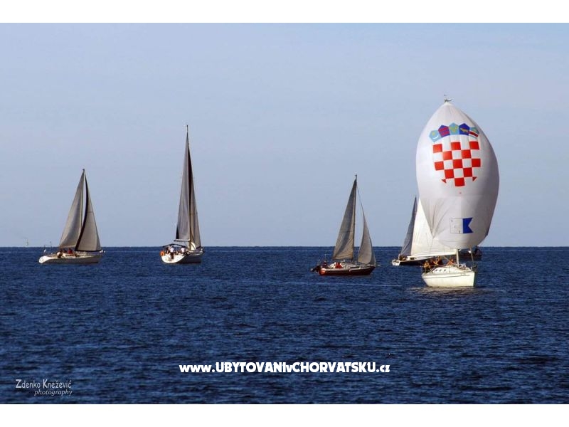 Appartements Mira – Ferienwohnung Bibinje, Kroatien – Foto 18