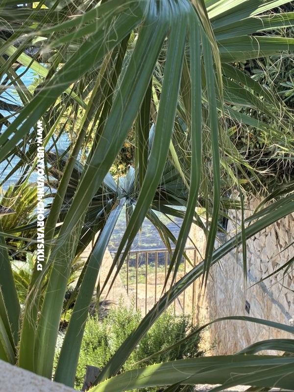 Appartements Šime – Ferienwohnung Bibinje, Kroatien – Foto 12