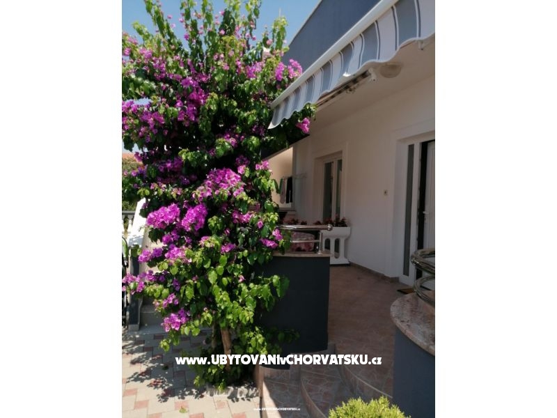 Appartements Šime – Ferienwohnung Bibinje, Kroatien – Foto 3