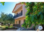 Apartmn Ante - Bibinje Chorvatsko