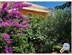 Appartement Mara - Bibinje Kroatien