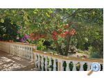 Appartement Mara - Bibinje Kroatien