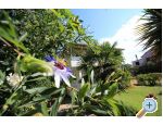Apartments NICOL - Bibinje Croatia