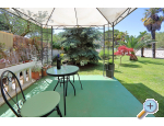 Dragan Appartements - Bibinje Kroatien