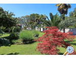 Dragan Appartements - Bibinje Kroatien