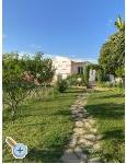 Emanuel Apartmanok - Bibinje Horvtorszg