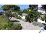 Apartmaji Kristo - Bibinje Hrvaka