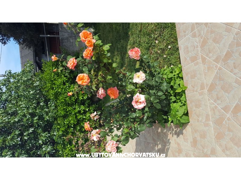 Haus for relax by the Sea – Ferienwohnung Bibinje, Kroatien – Foto 12