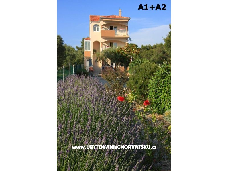 Appartements Alena – Ferienwohnung Bibinje, Kroatien – Foto 2