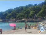 Apartment Cvita - Biograd Croatia