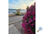 Apartment Mare - prvi red uz more - Biograd Kroatien