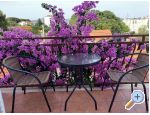 Appartements Danica - Biograd Kroatien