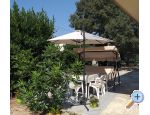 Ferienwohnungen Jelii - Biograd Kroatien