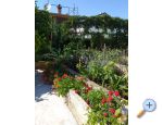 Ferienwohnungen Jelii - Biograd Kroatien