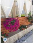 Appartements Josipa - Biograd Kroatien