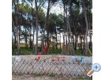 Appartements KIKO - Drage - Biograd Croatie