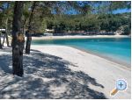 Appartements KIKO - Drage - Biograd Croatie