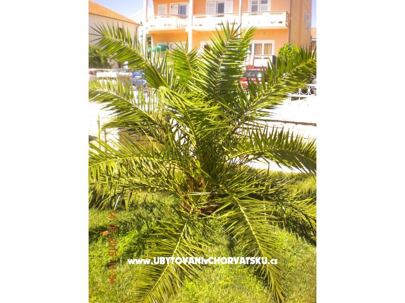 Appartements M&amp;M – Ferienwohnung Biograd am meer, Kroatien – Foto 9