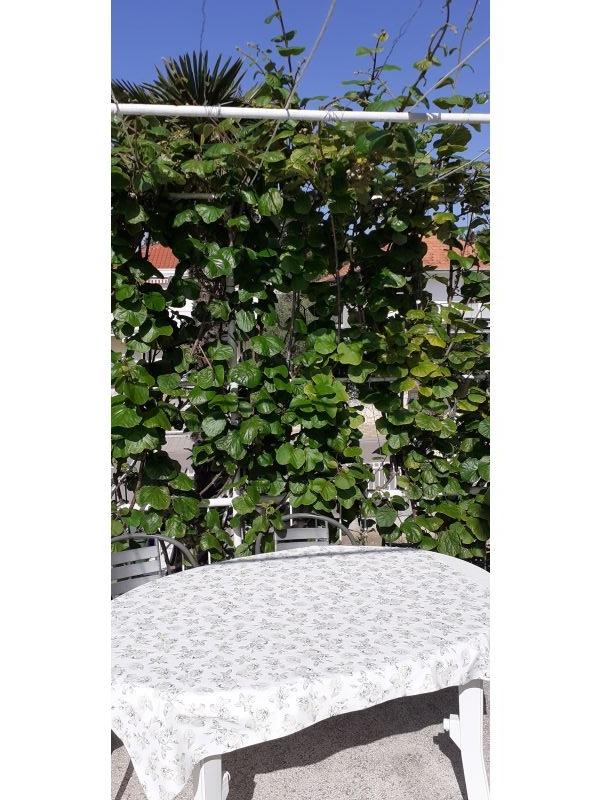 Appartements Margarita – Ferienwohnung Biograd am meer, Kroatien – Foto 15