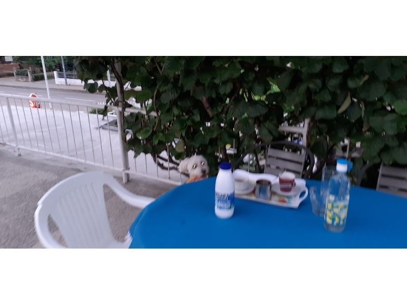 Appartements Margarita – Ferienwohnung Biograd am meer, Kroatien – Foto 4