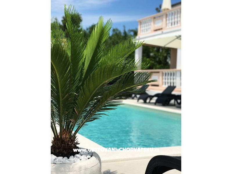 Apartmány Šarić – ubytování Biograd, Chorvatsko – foto 7