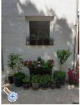 VILLA BERNARD..150 m plaa DRAICA - Biograd Kroatien