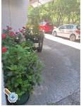 VILLA BERNARD..150 m plaa DRAICA - Biograd Kroatien