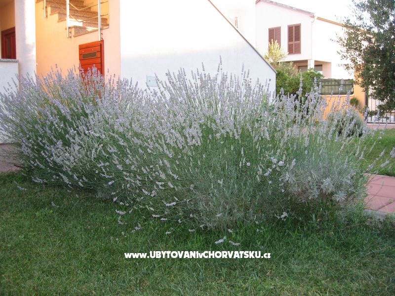 Appartements Blandona – Ferienwohnung Biograd am meer, Kroatien – Foto 7