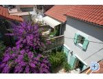 Hia Vesela - Biograd Hrvaka