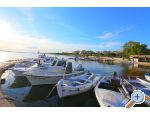 Kakma - Biograd Kroatien