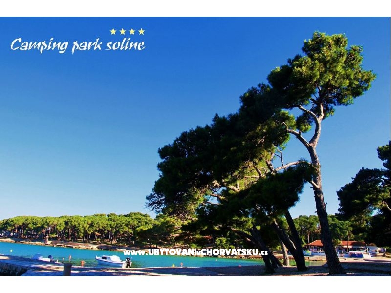 Mobile home Luka 767 – Ferienwohnung Biograd am meer, Kroatien – Foto 14