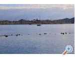 Studio apartmani Petra - Biograd Chorvatsko