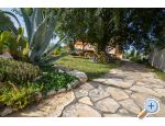 Studio apartmani Petra - Biograd Chorvatsko