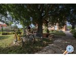 Studio apartmani Petra - Biograd Chorvatsko