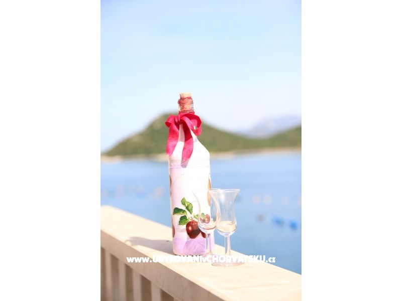 Appartements Vale – Ferienwohnung Blace, Kroatien – Foto 18