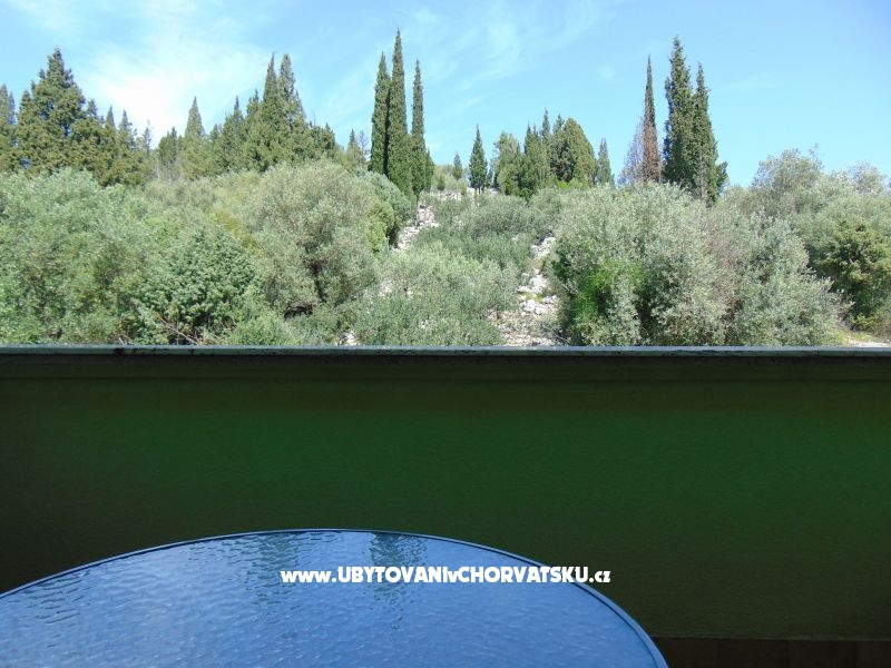 Ferienwohnungen 7+ – Ferienwohnung Blace, Kroatien – Foto 11