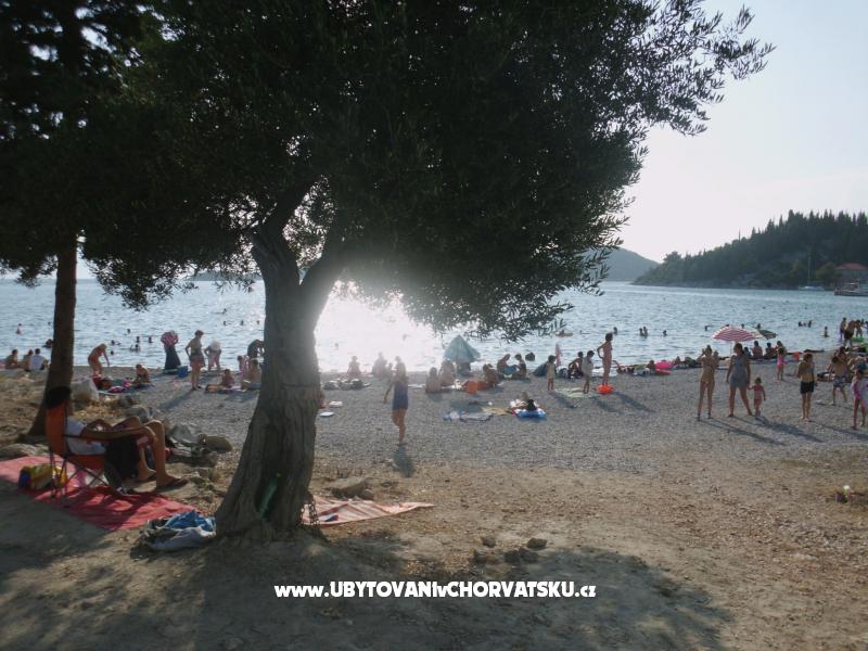 Ferienwohnungen  Petar – Ferienwohnung Blace, Kroatien – Foto 4