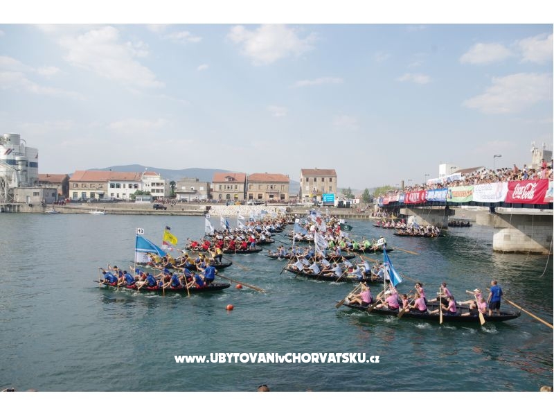 Ferienwohnungen Ivan &amp; Matej – Ferienwohnung Blace, Kroatien – Foto 14