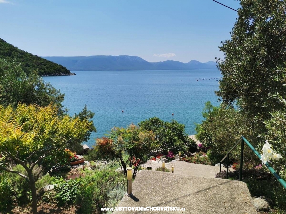 Appartements Maja - Blace Croatie
