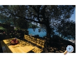Ferienwohnungen Maja - Blace Kroatien