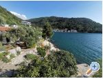 Apartmaji Maja - Blace Hrvaka