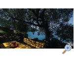 Apartmaji Maja - Blace Hrvaka