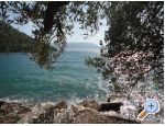 Apartmaji Maja - Blace Hrvaka