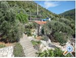 Apartmaji Maja - Blace Hrvaka
