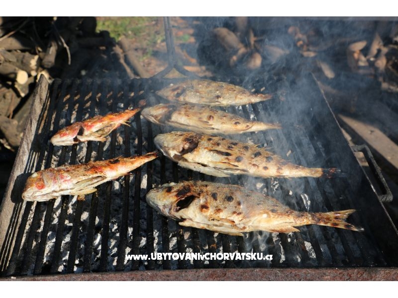 Villa Delta – Ferienwohnung Blace, Kroatien – Foto 7