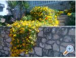 Appartements M - Blato  Korula Croatie