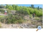 Pera Apartmaji - Blato  Korula Hrvaka
