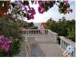 Saradela House - Blato – Korčula Croatia