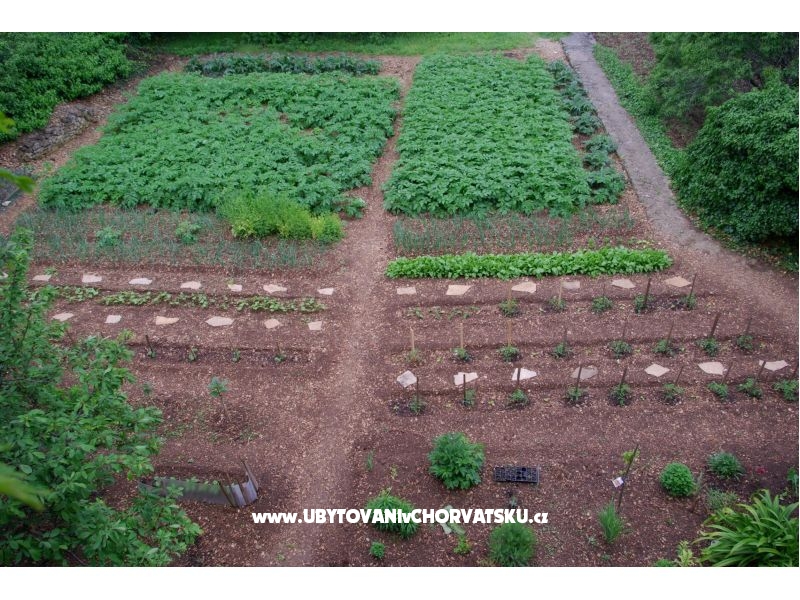 Apartment Srdjana – Ferienwohnung Insel Brac, Kroatien – Foto 5